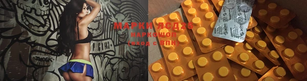 индика Алексеевка