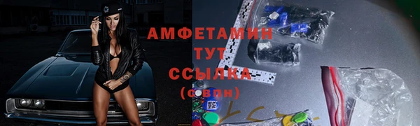 индика Алексеевка