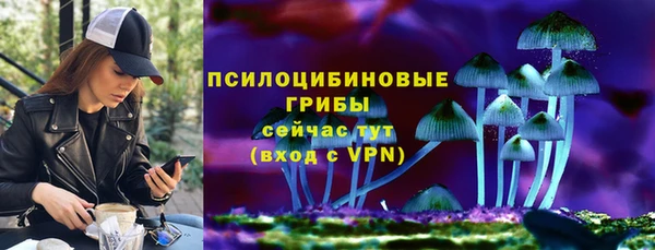 индика Алексеевка