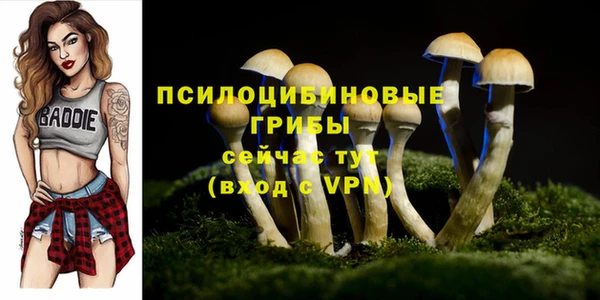 дживик Аркадак